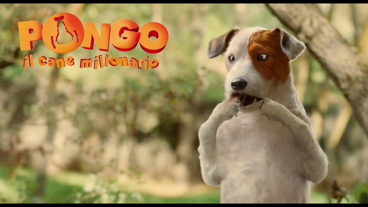 Pongo il cane milionario - Clip musicale 