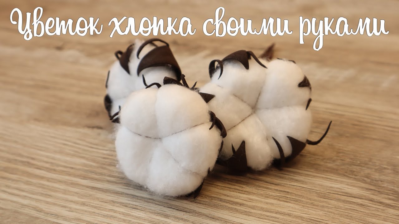 Как сделать цветок хлопка своими руками