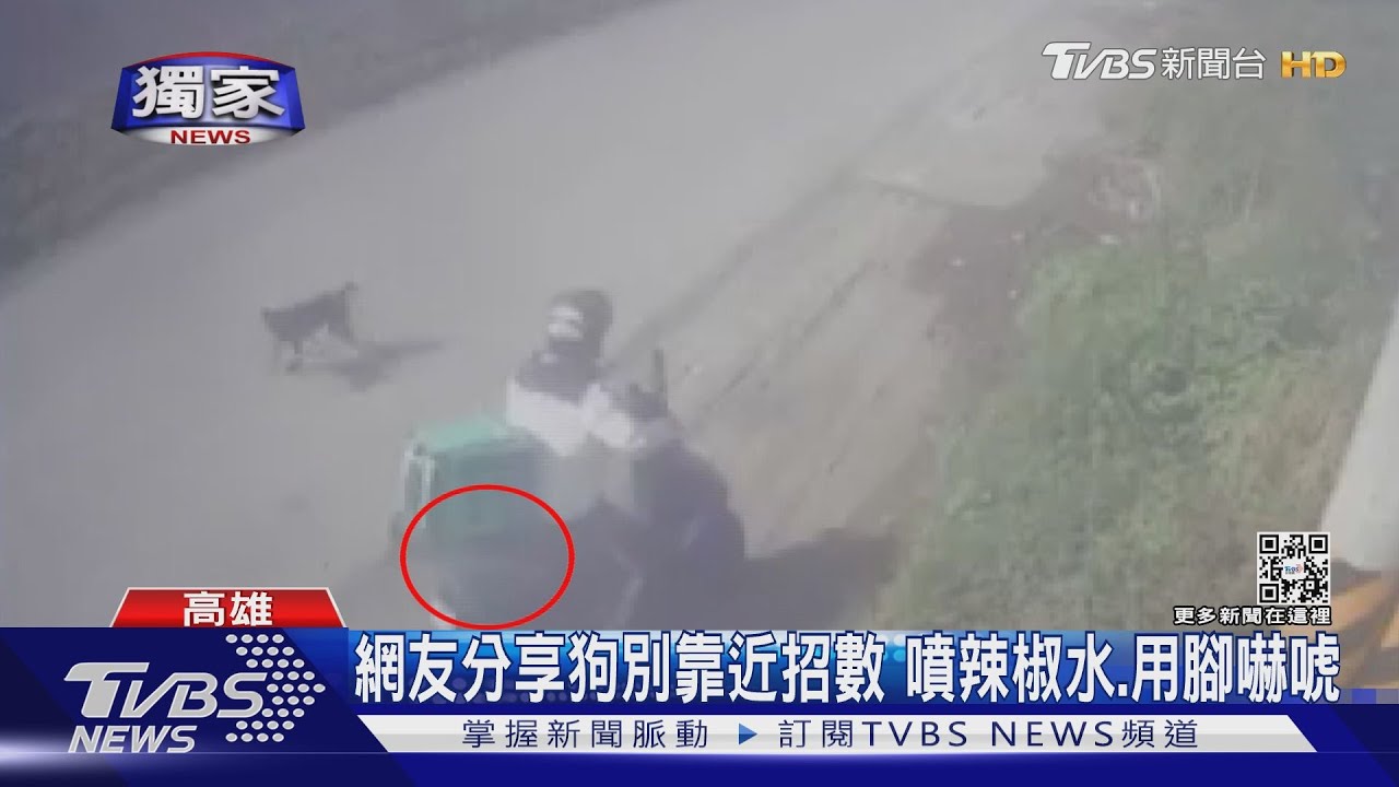 #獨家 老天捉弄人? 外送員被狗追狂吠咬褲管 連2張派單同處｜TVBS新聞