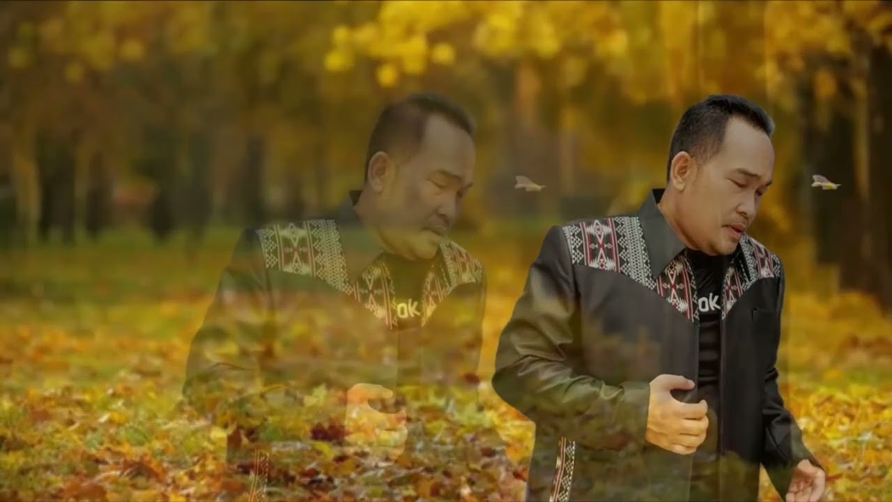 I JUST FALL IN LOVE AGAIN ANNE MURRAY COVER BY OMAT