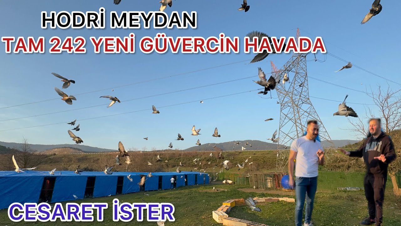 YOK BÖYLE Bİ VİDEO YAPARSA FARHAT ÖZTÜRK YAPAR    ( ŞAŞIRMA DAYI )