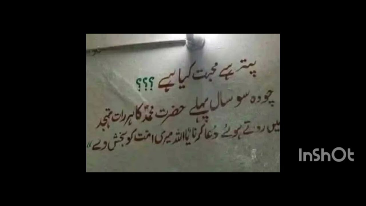 Muhabbat/my trend viral Islamic words/ Muhammad saw /ummat /everyone like it 