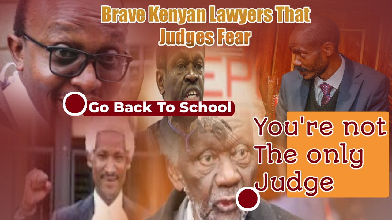 BRAVE KENYAN LAWYERS THAT EVEN JUDGES FEAR  MOMENTS COMPLITAION