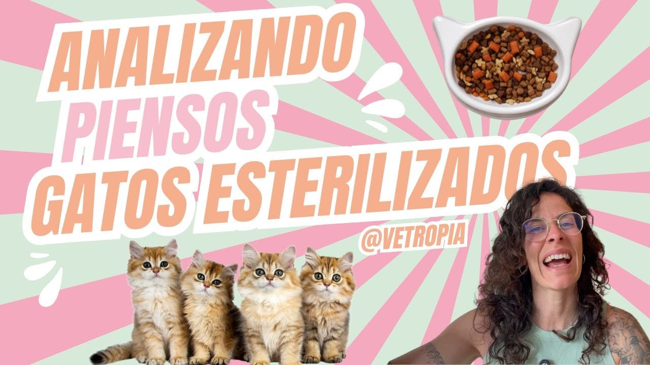 PIENSO PARA GATOS ESTERILIZADOS 😺 ANALIZANDO 3 MARCAS 🔍
