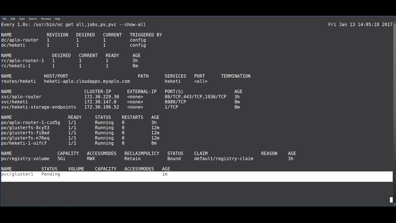 Dynamic Provisioning of Container-Native Storage on Red Hat OpenShift Container Platform 3.4