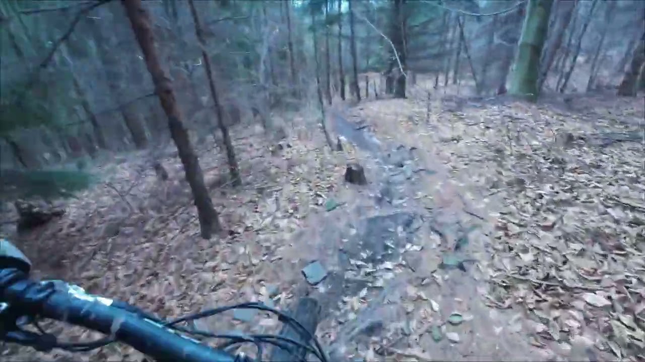 Gandi/Gaiki/Enduro 65+/Goust