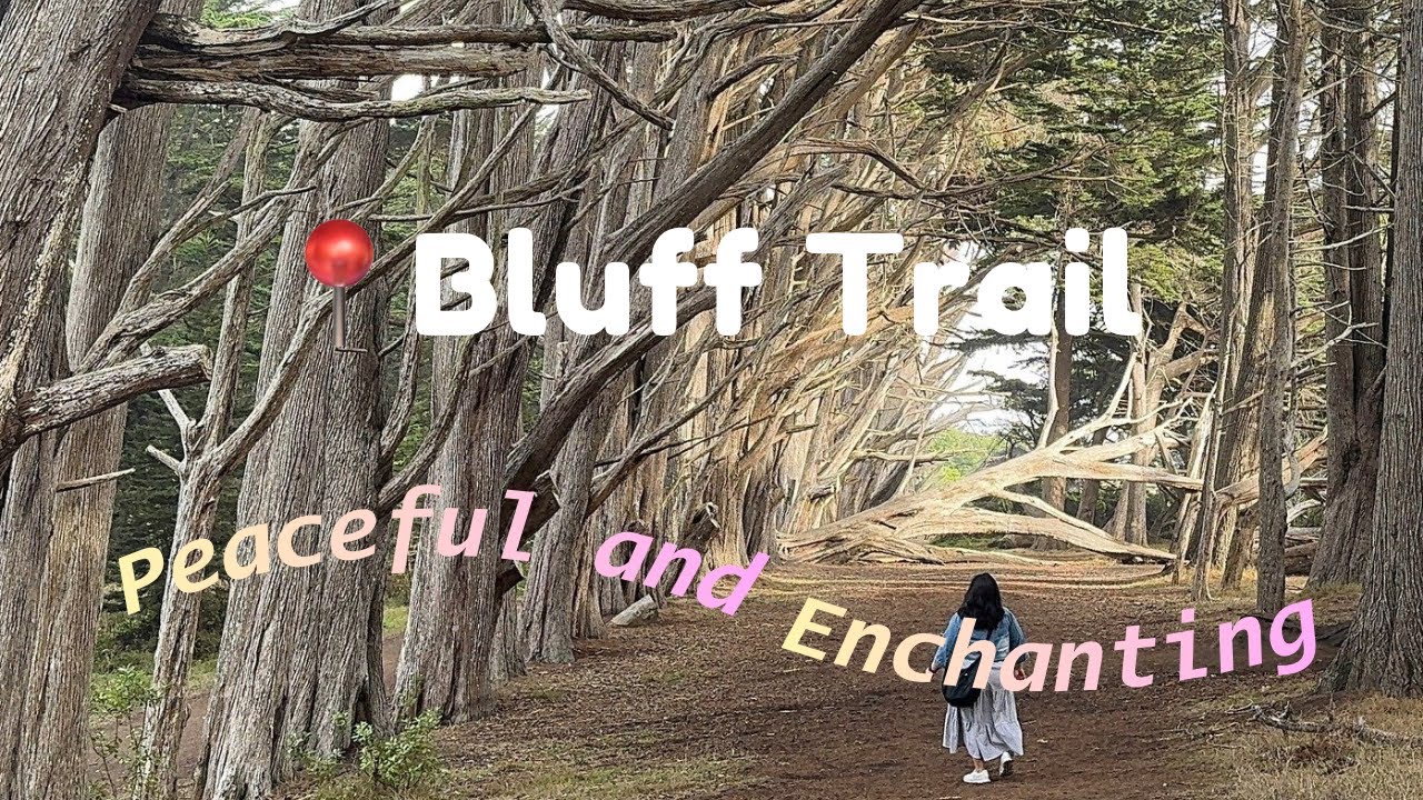 Pacific Coast Hidden Gem ☺️ Bluff Trail | Moss Beach, CA | 
