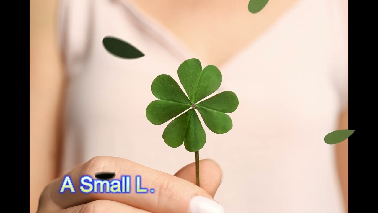 Four-Leaf Clover Meaning | A Small Leaf with a Big Symbol of Luck