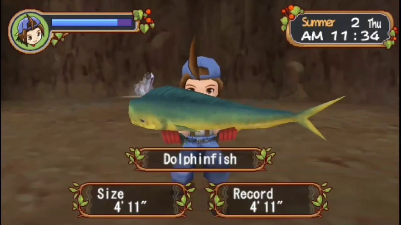All Fish And Locations In Harvest moon Holv PSP