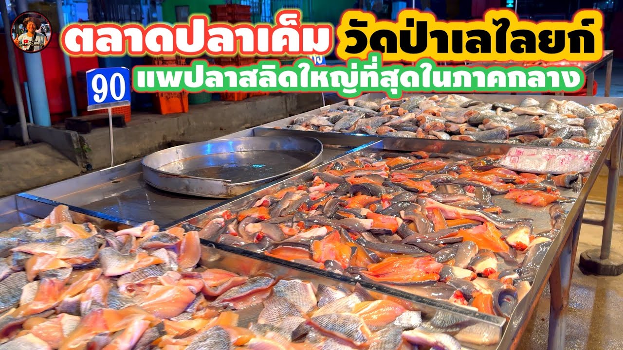 #ตลาดปลาเค็ม#แพปลาวัดป่าเลไลยก์#แหล่งผลิตปลาเค็มและจำหน่าย￼ราคาถูก#สุพรรณบุรี่#ลุงน้อยchannel