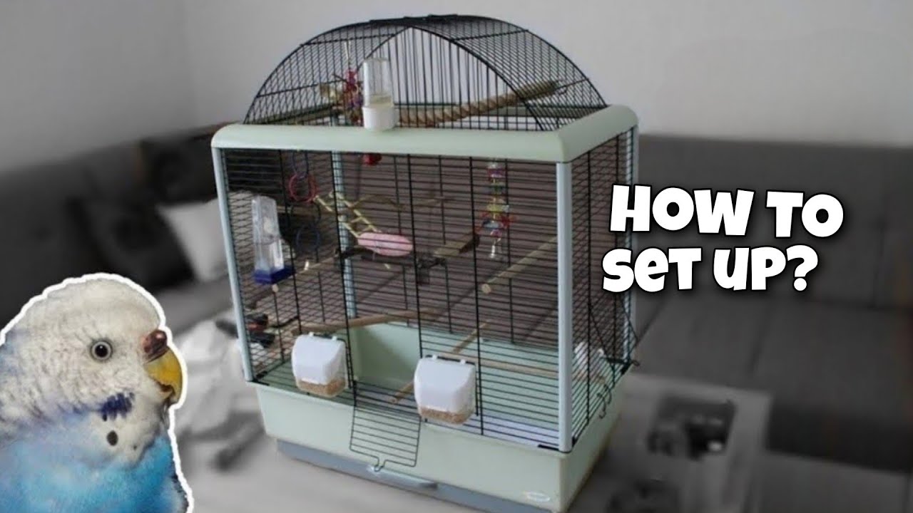 Simple Budgie Cage Set Up