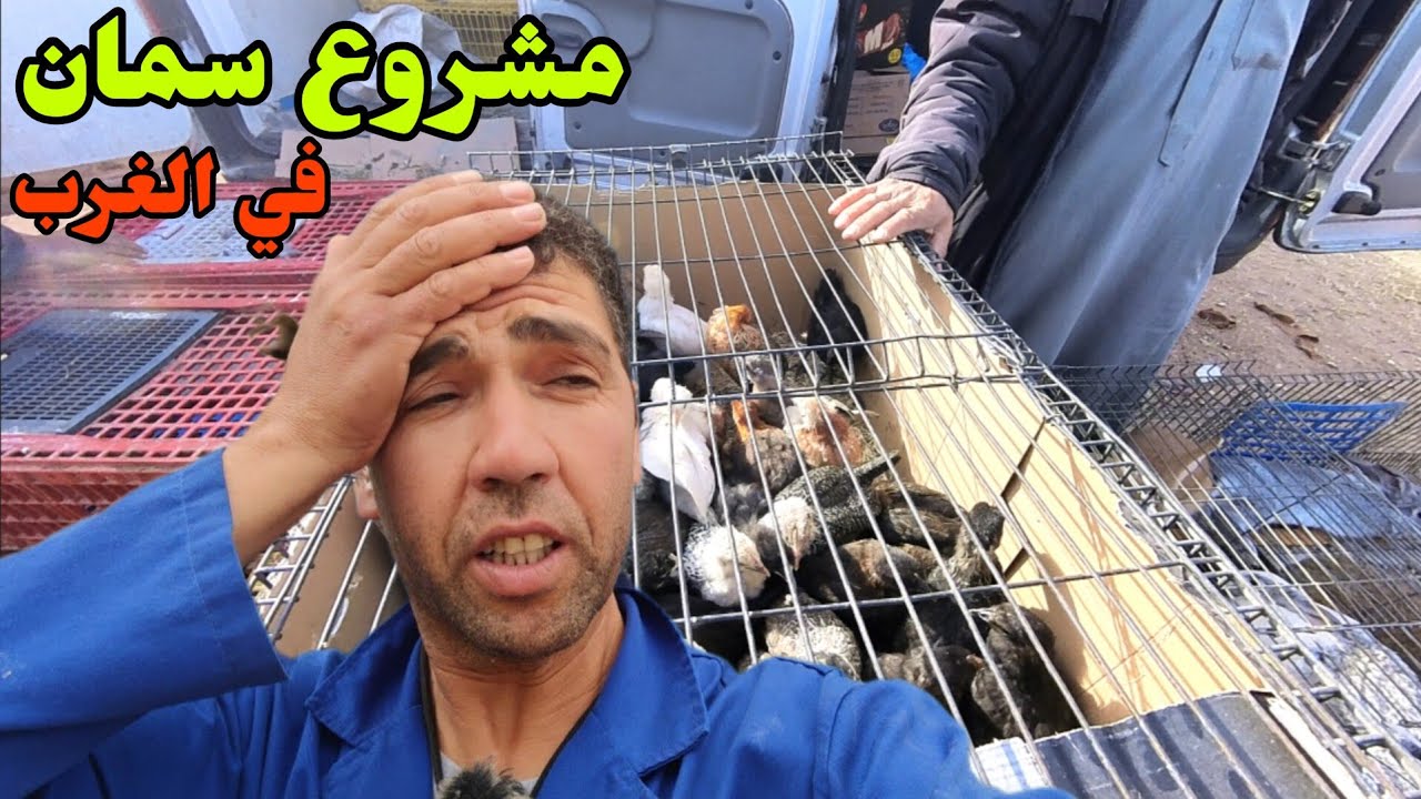 مشروع سمان في المغرب