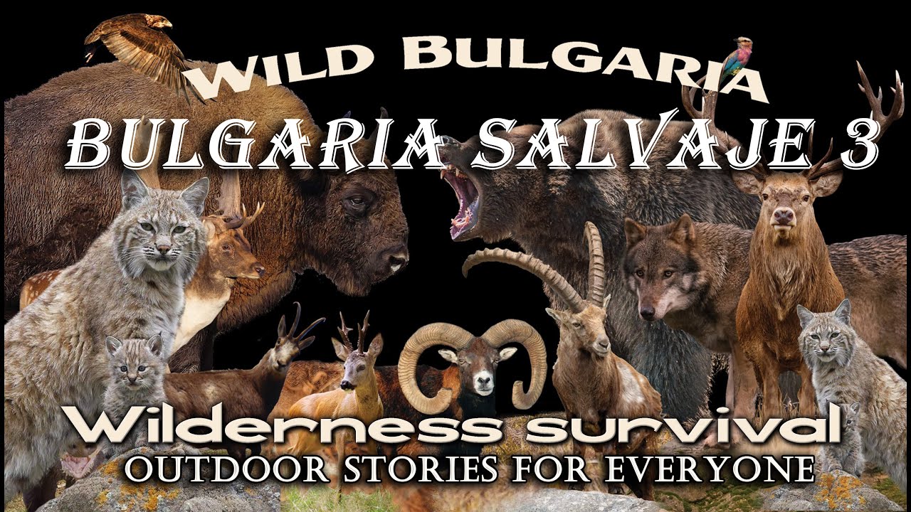 🍂😱Bulgaria salvaje 3: :🦨 Supervivencia en el desierto 🤖💯(IA 100% narración y traducción.) - WB 03