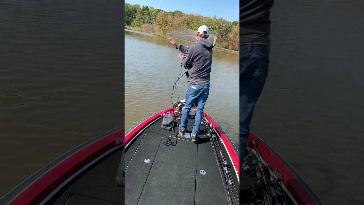 Catching shad with a 4 ft throw net