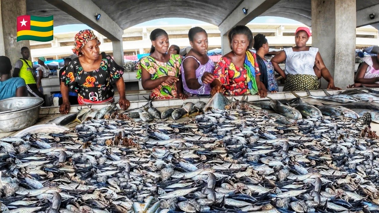 Biggest and cheapest fish market in Togo 🇹🇬 west Africa. cost of fish in the lom&eacute; fishing harbor.