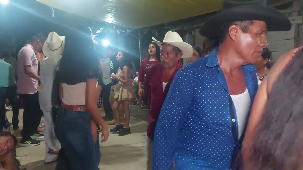 Morelos coxquihui veracruz .Huapangos veracruzanos y poblanos