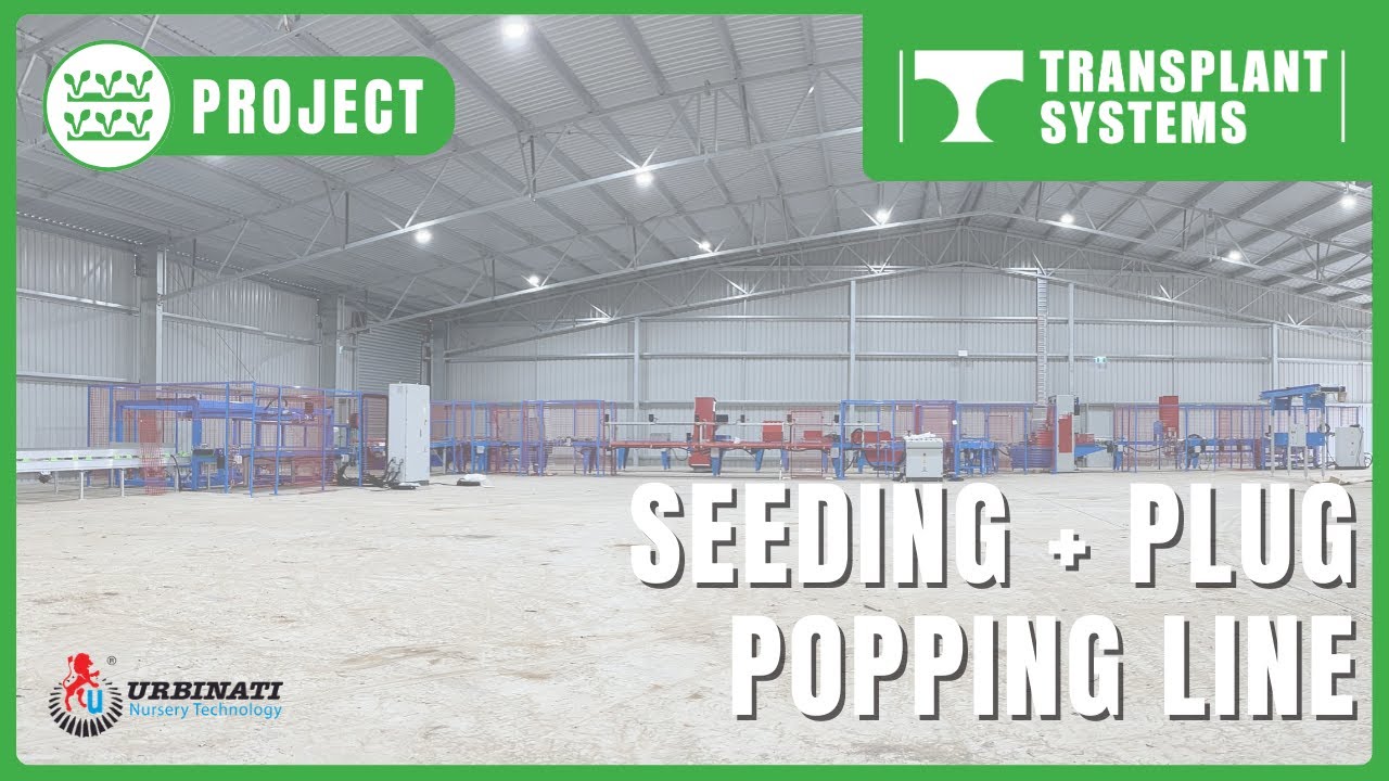 Seeding & Plug Popping Line | Urbinati & KG Systems | Installed by Transplant Systems