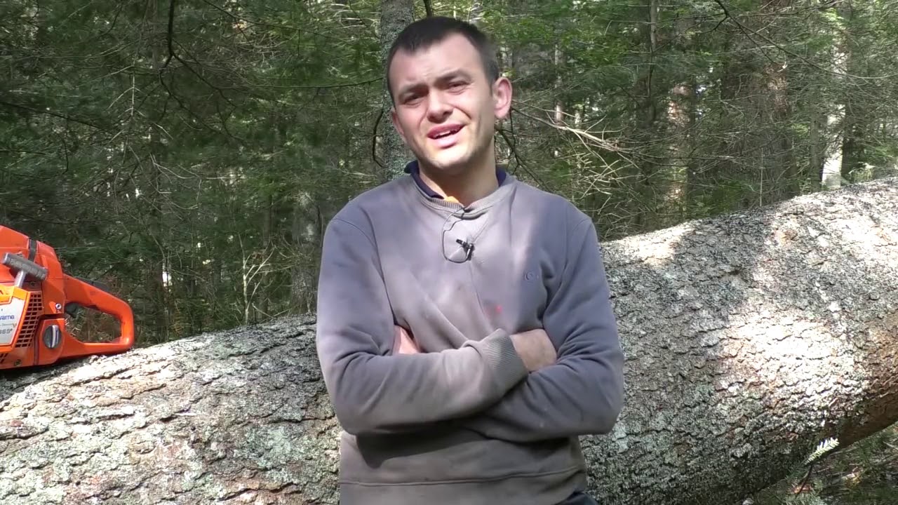 Inženjer šumarstva-radi kao sjekač