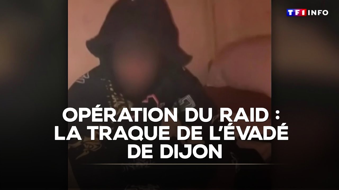 Op&eacute;ration du RAID : la traque de l'&eacute;vad&eacute; de Dijon｜TF1 INFO