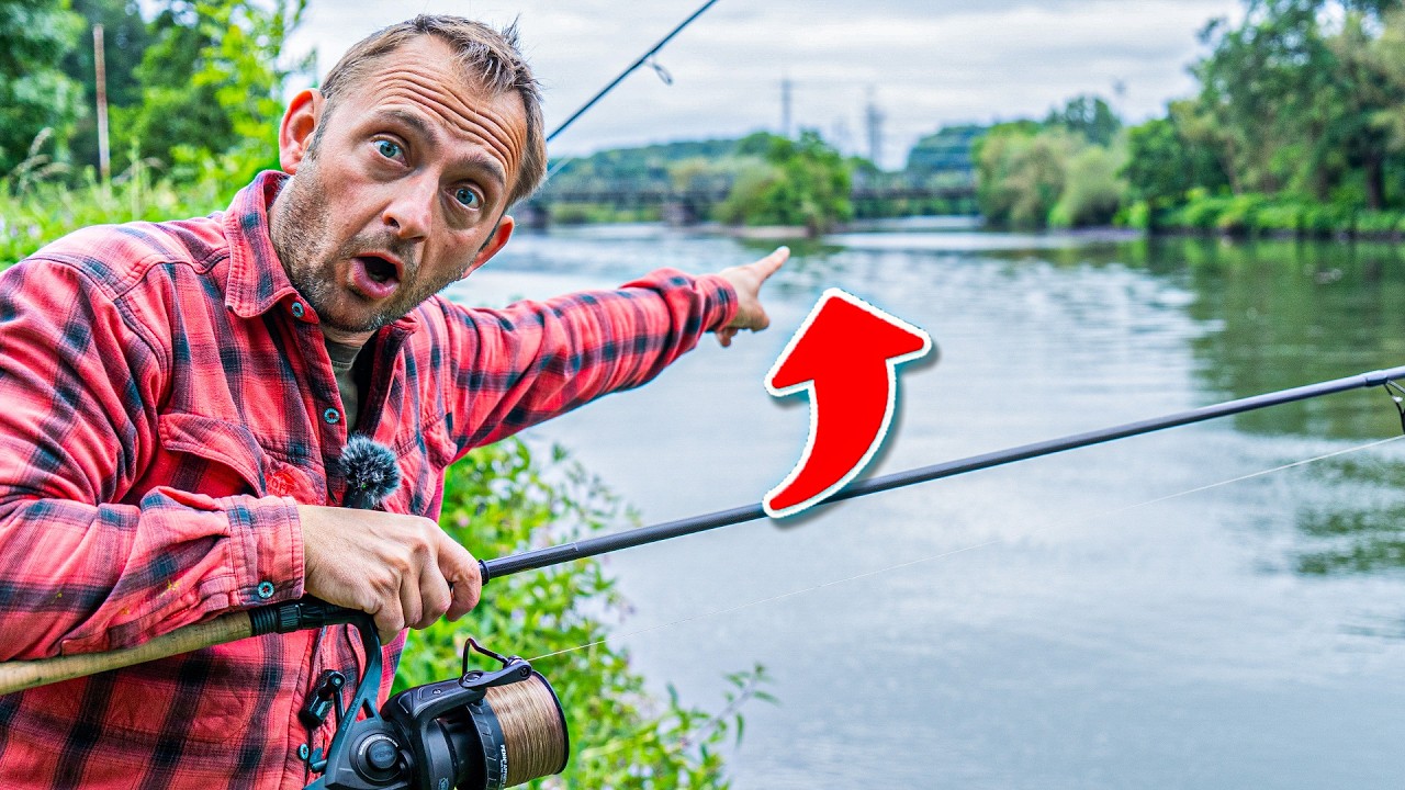 So fängst du Karpfen im Fluss 🐟 Top-Stellen, Jahreszeiten und Geheimtipps!