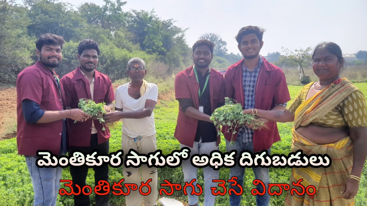 ||Package of practice fenugreek||Rhwep||