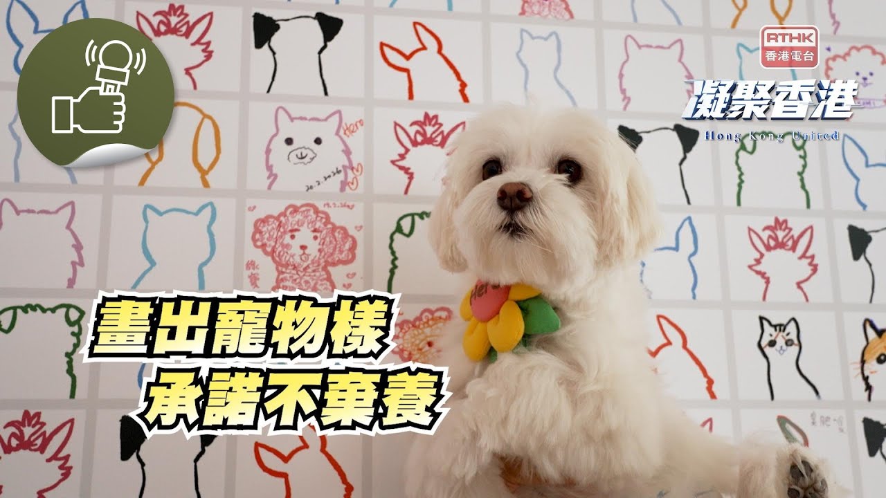 凝聚香港 - 初四點嘅樣？就係見到貓貓狗狗好幸福嘅樣。一起來承諾不棄養