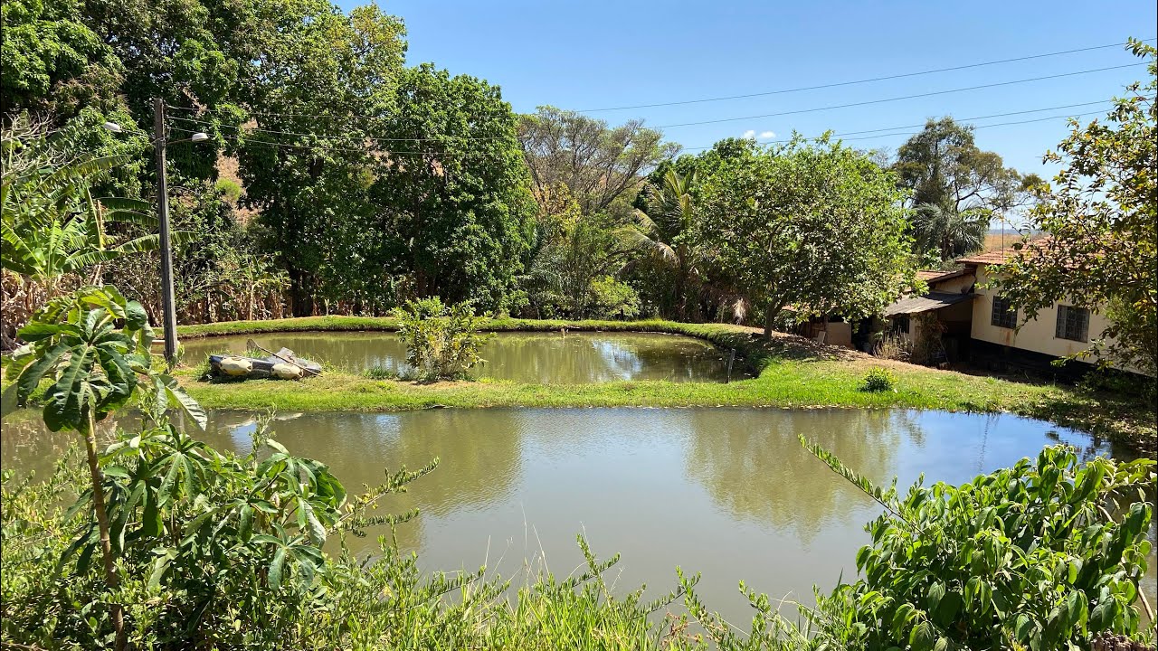 Chácara rica em água, a 36 km de Goiânia, R$ 950.000, 2 tanque de peixe, bica d’água, 62 99297-3453