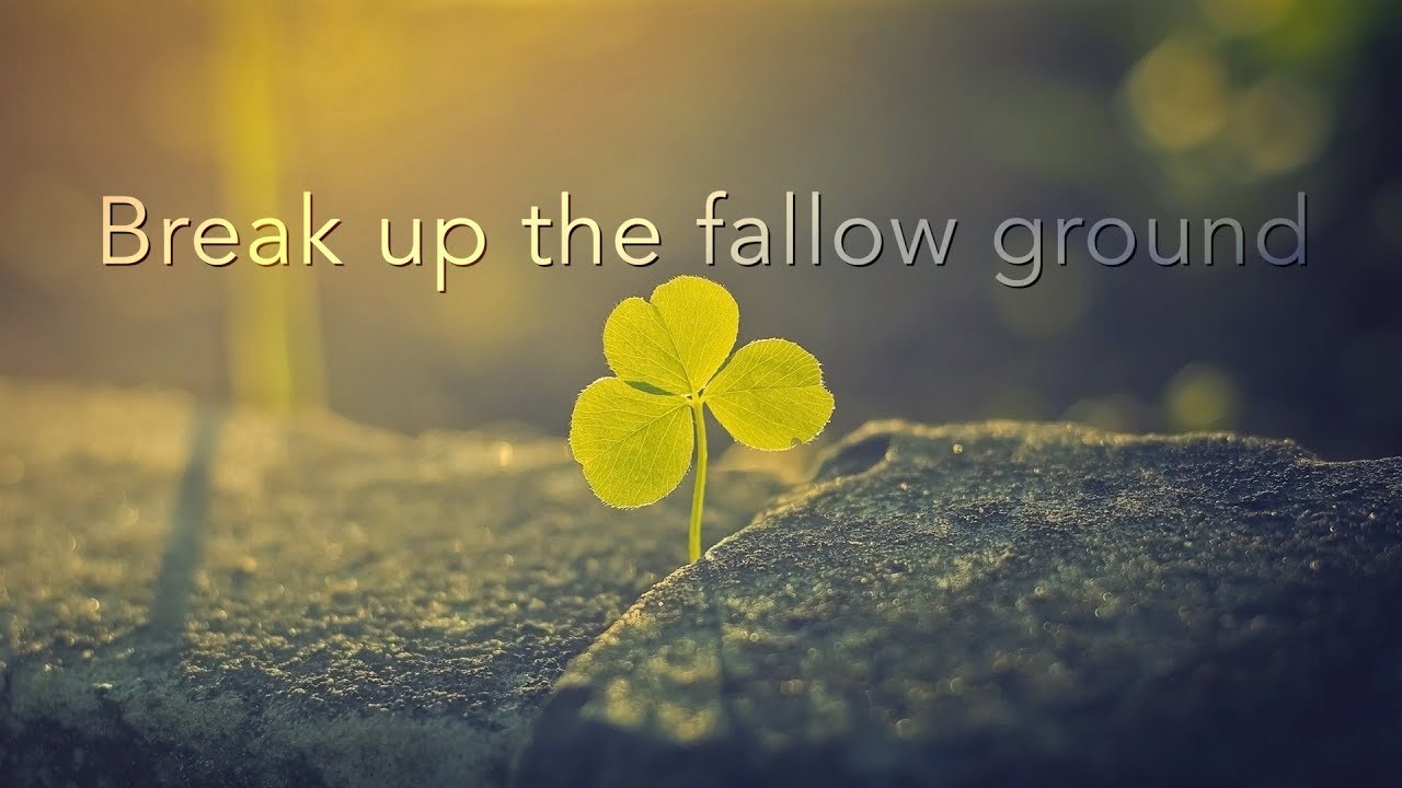 Break up the fallow ground (David Wilkerson)