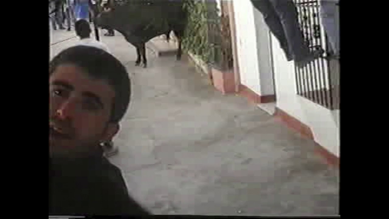 Toro de cuerda 2002 mañana (Gaucín)