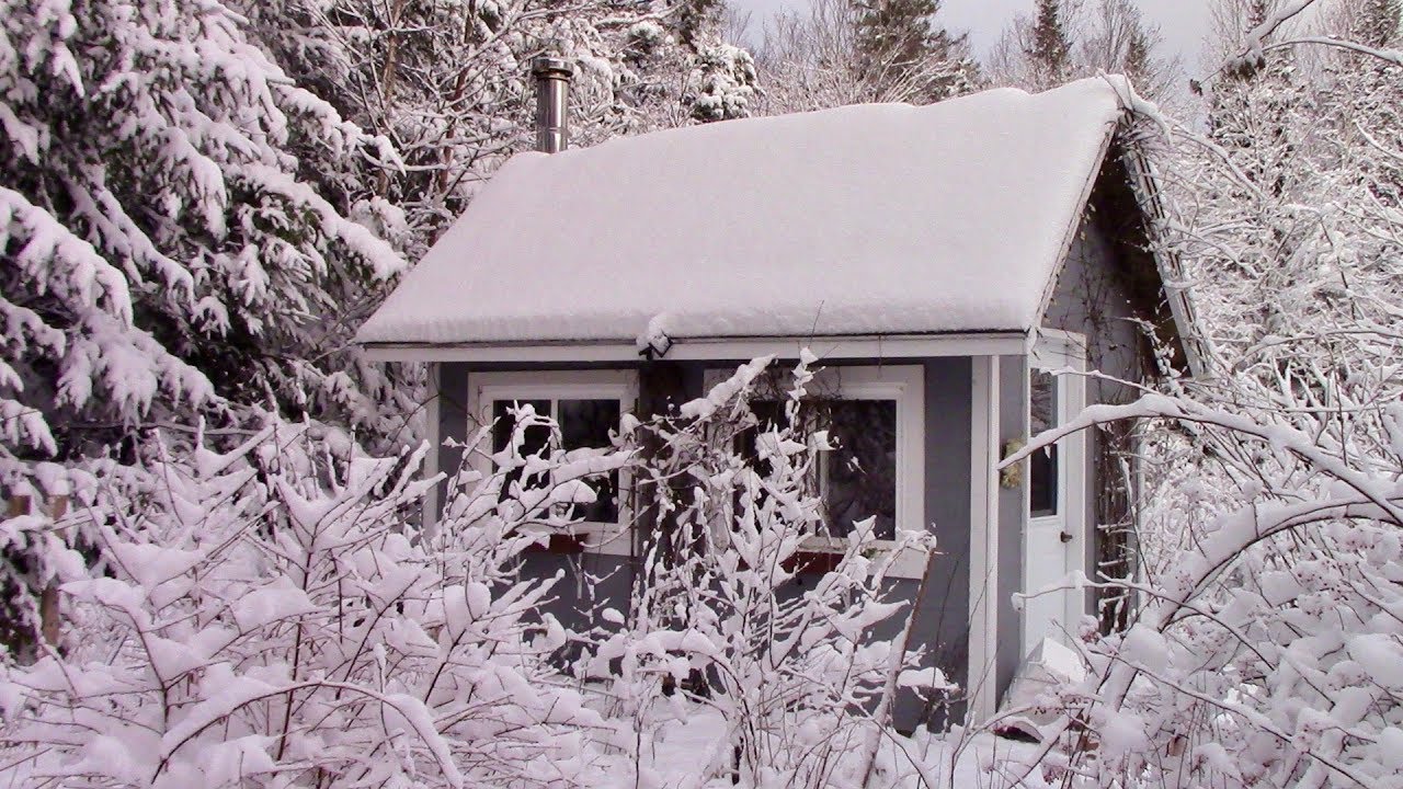 At the Cabin November 2018