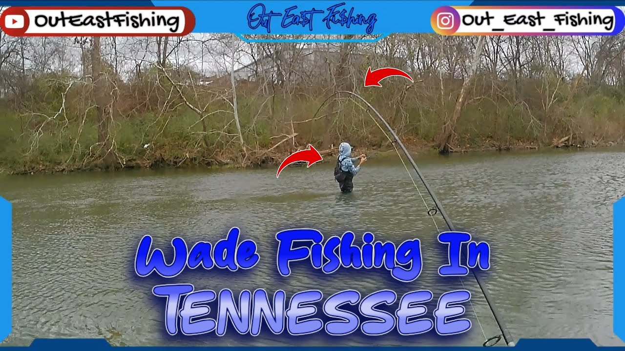 Wade Fishing the River On A Warm Winter Day In Tennessee