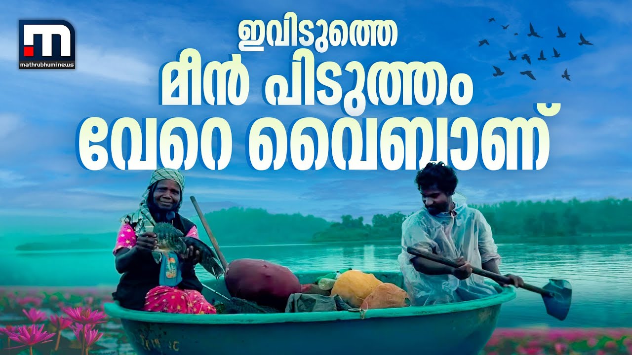 നേരം പുലരും മുമ്പേ കുട്ടവഞ്ചിയിൽ മീൻപിടുത്തം; വയനാട് കാരാപ്പുഴ ഡാമിലെ മീൻപിടുത്ത കാഴ്ചകൾ | Wayanad