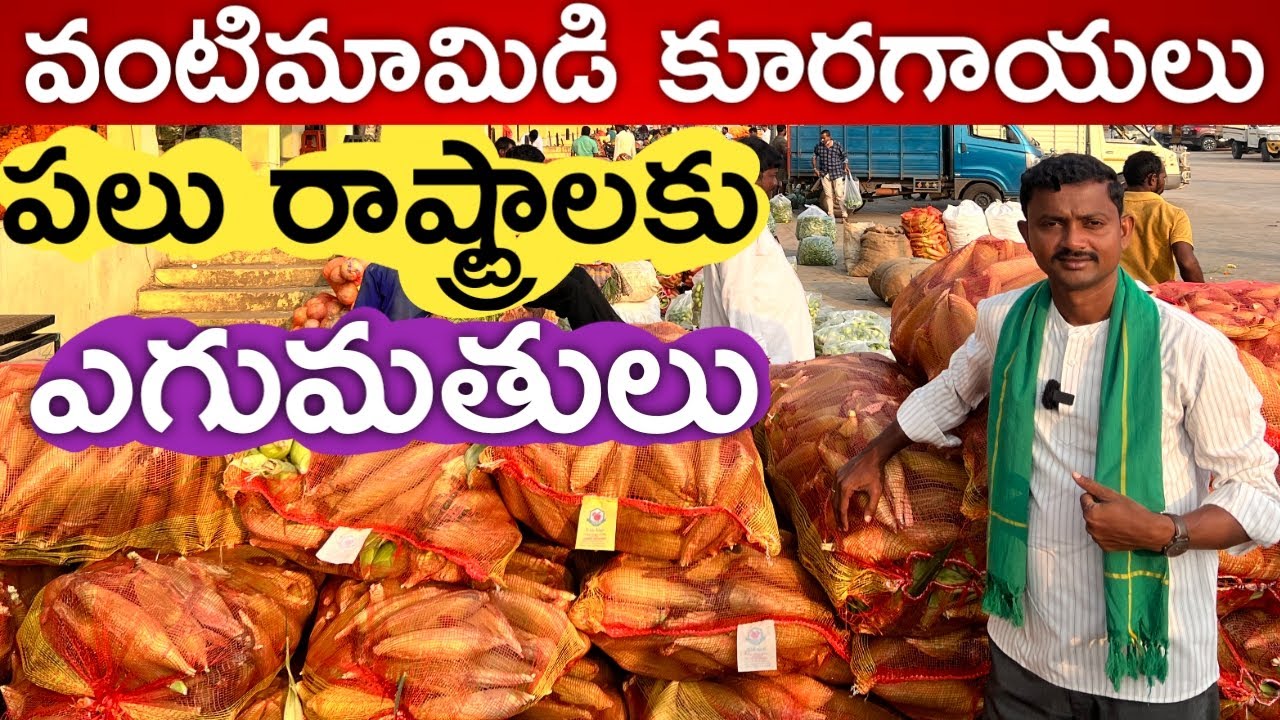 వంటిమామిడి నుంచి పలు రాష్ట్రాలకు కూరగాయలు | రైతు బడి