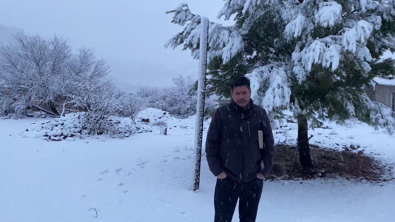 CERCIÓRATE EN LAS ESCRITURAS