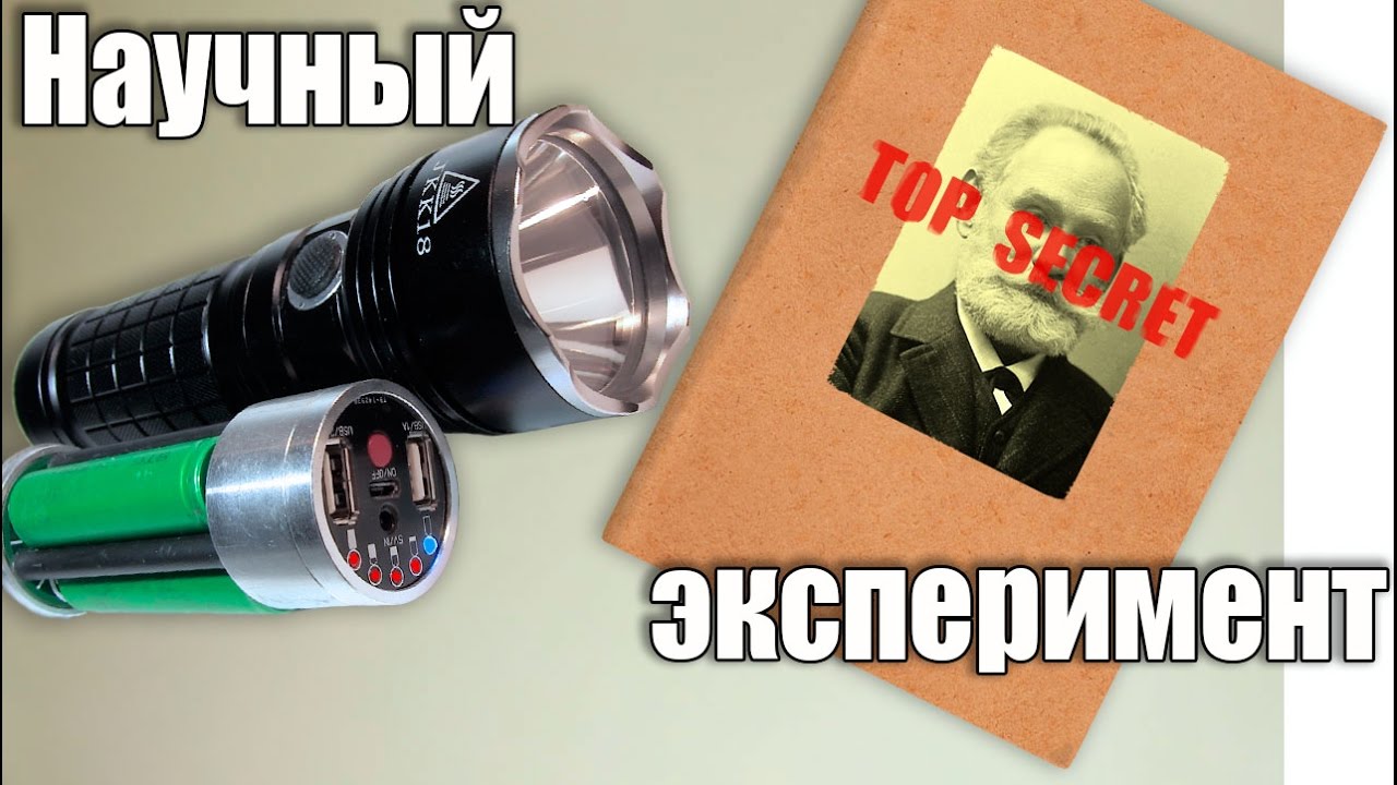 Офонарели собаки. Научный эксперимент