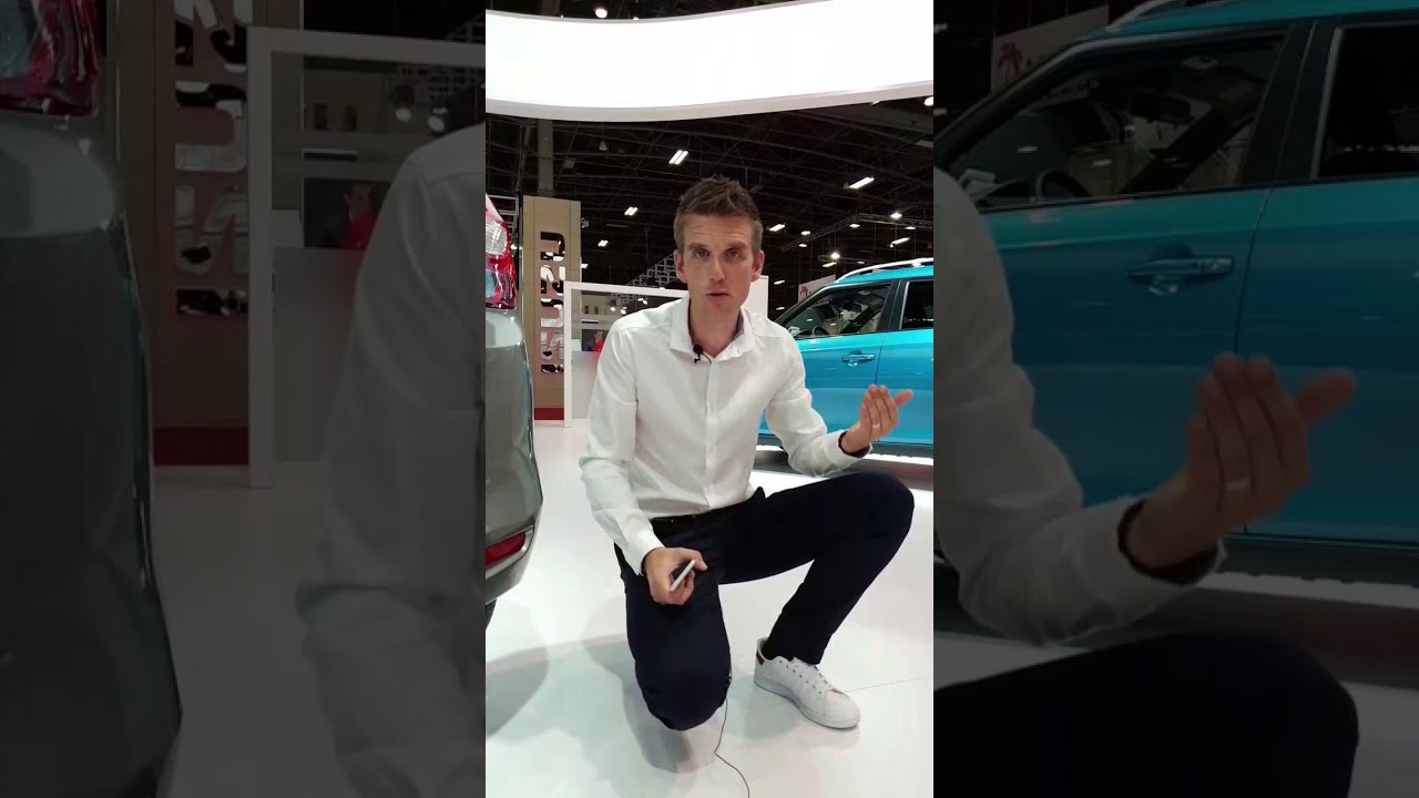 Et si on parlait de l'Hybridation Suzuki...