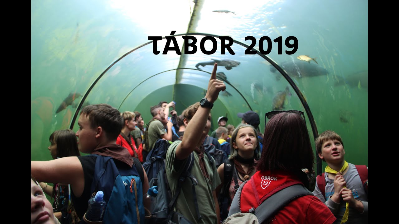 Zážitky na skautském táboře 4 | Skelná Huť 2019