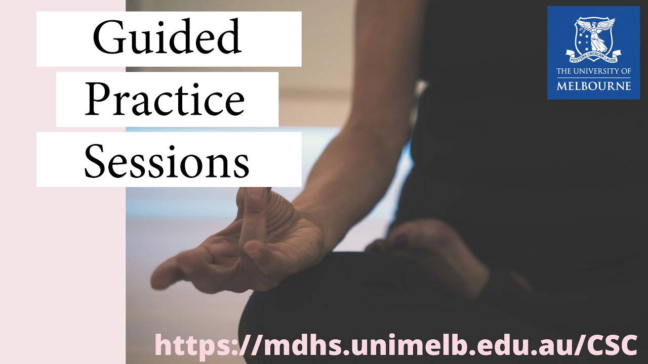 Guided meditation practice - Insight Meditation