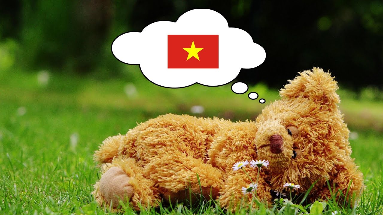 Learn Vietnamese While You Sleep - 1000 Important Vietnamese Words & Phrases