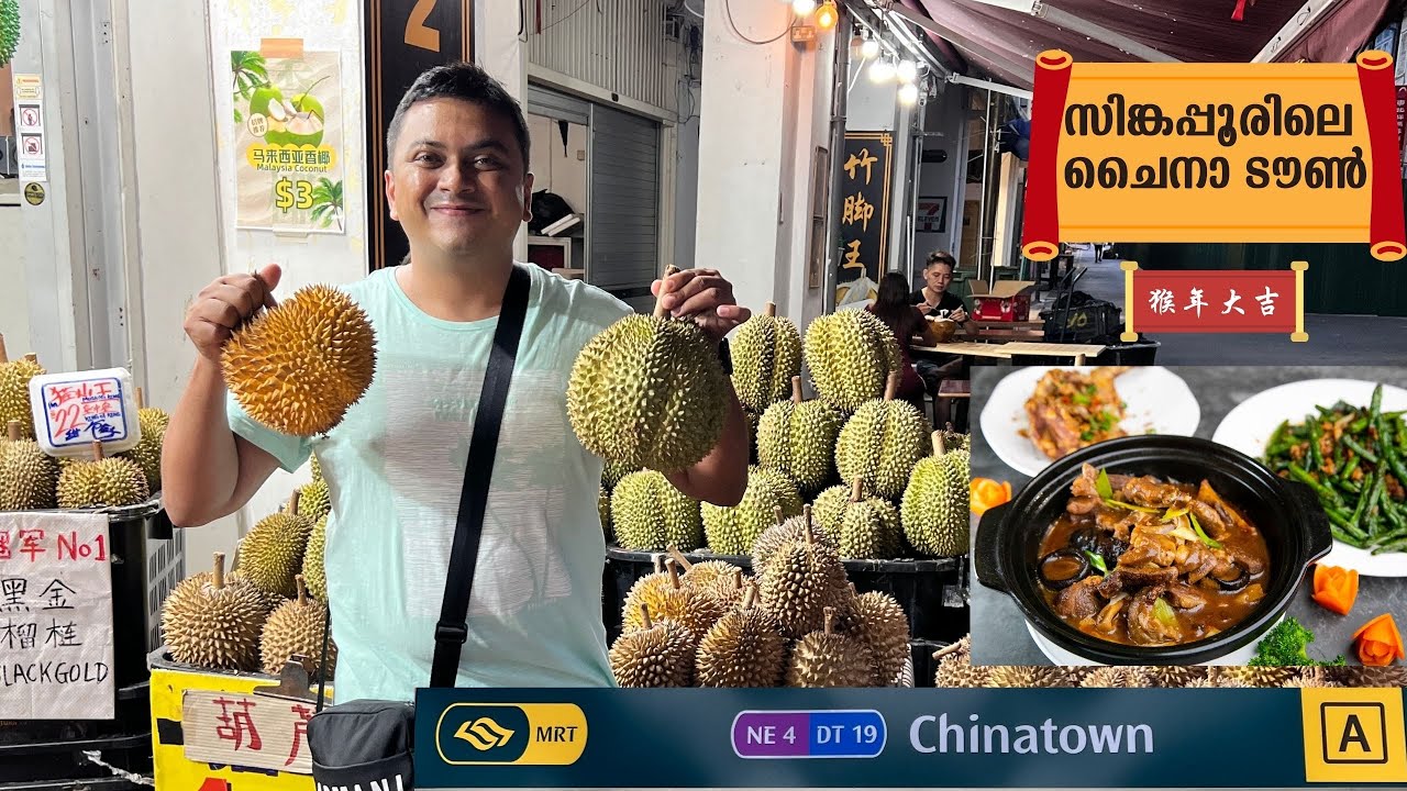China Town in Singapore | ചൈനാ ടൗൺ  Chinese Food, Pub, Market, Temple & Mosque