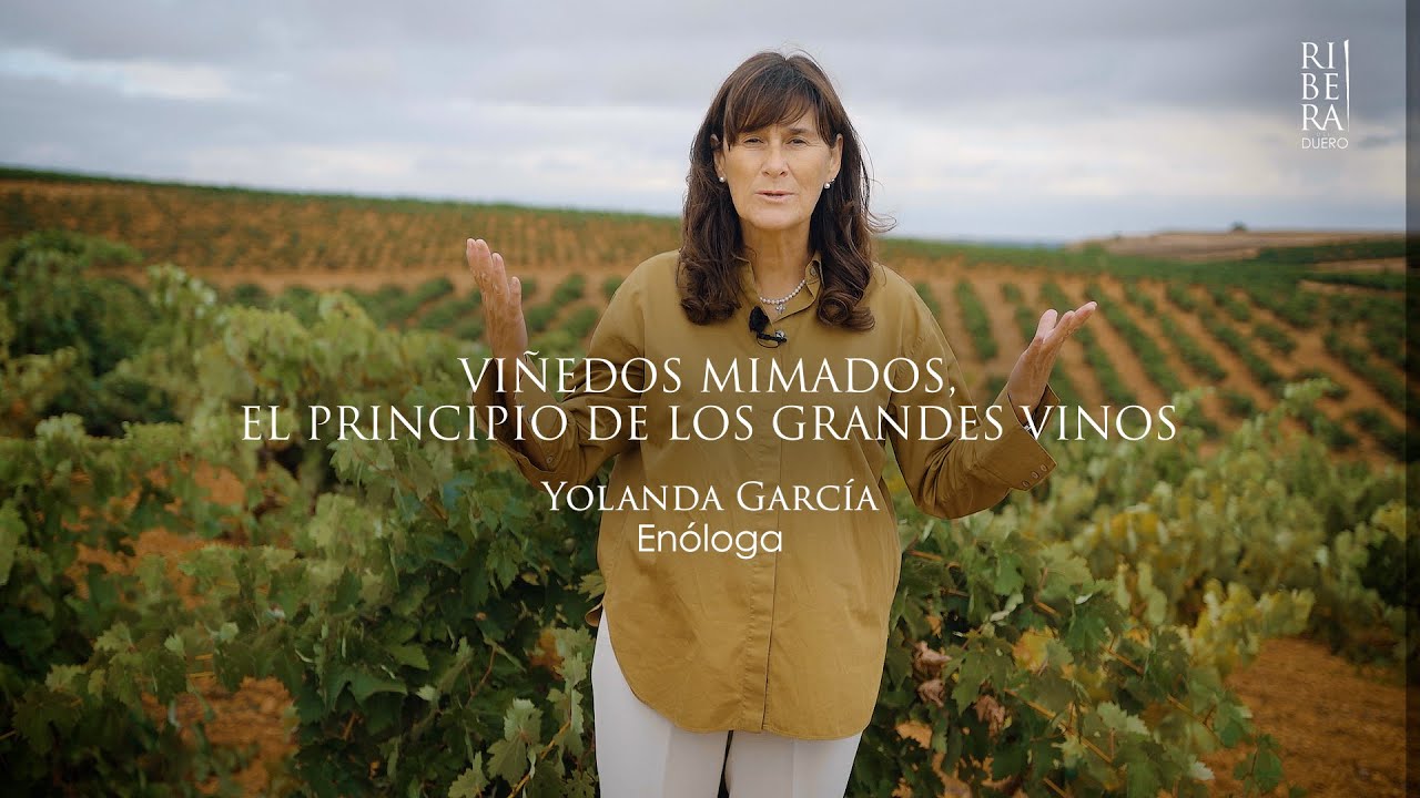 Yolanda García - Viñedos mimados, el principio de los grandes vinos