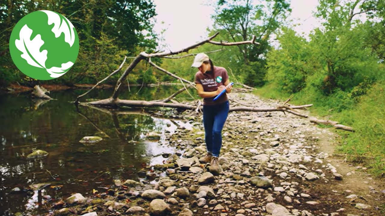 How Dam Removals Benefit Local Municipalities
