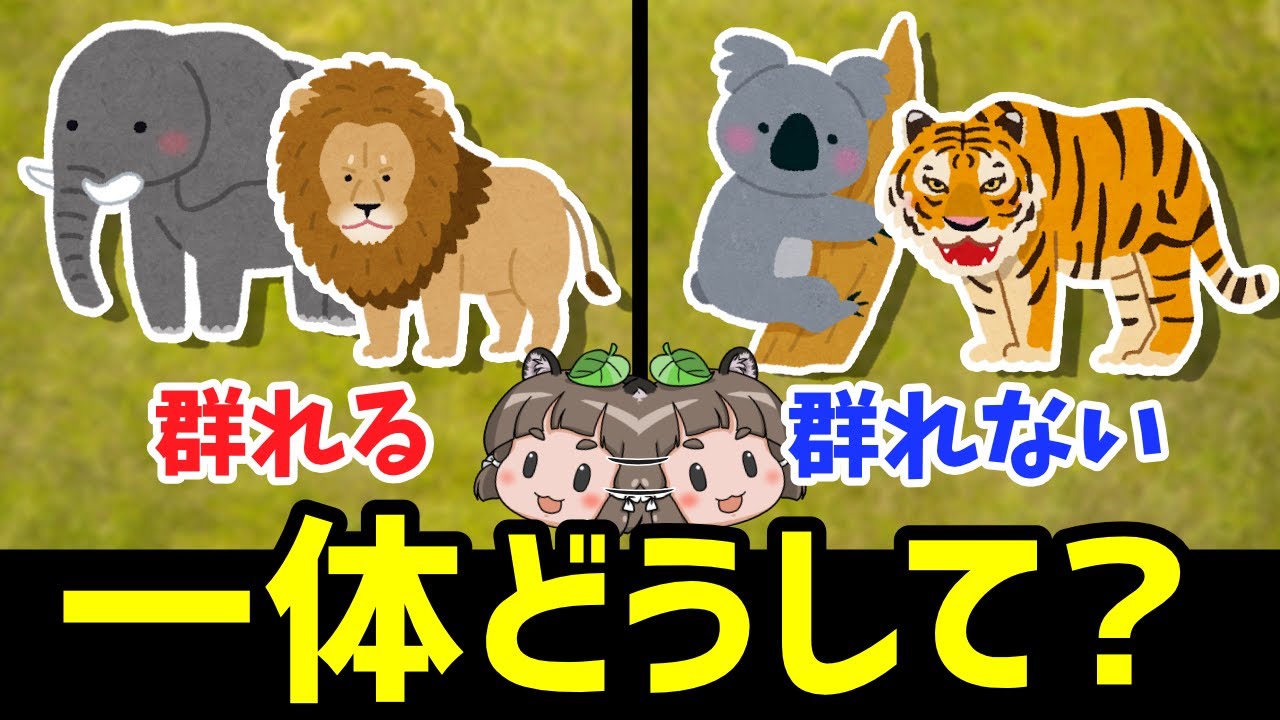【9割が知らない】なぜ群れを作る生き物と作らない生き物がいるのか？