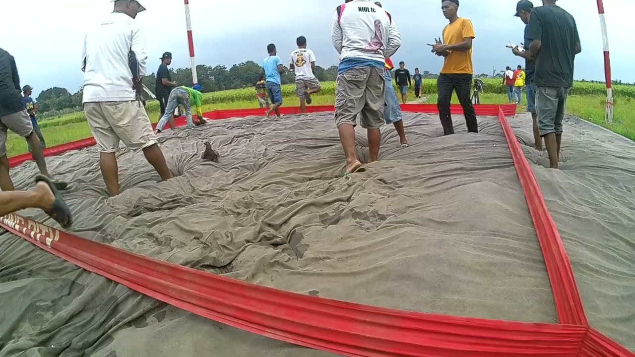 Teguh Itu Lebih Kuat dari Hebat Orang hebat bisa jatuh, tapi yang teguh akan bangkit terus