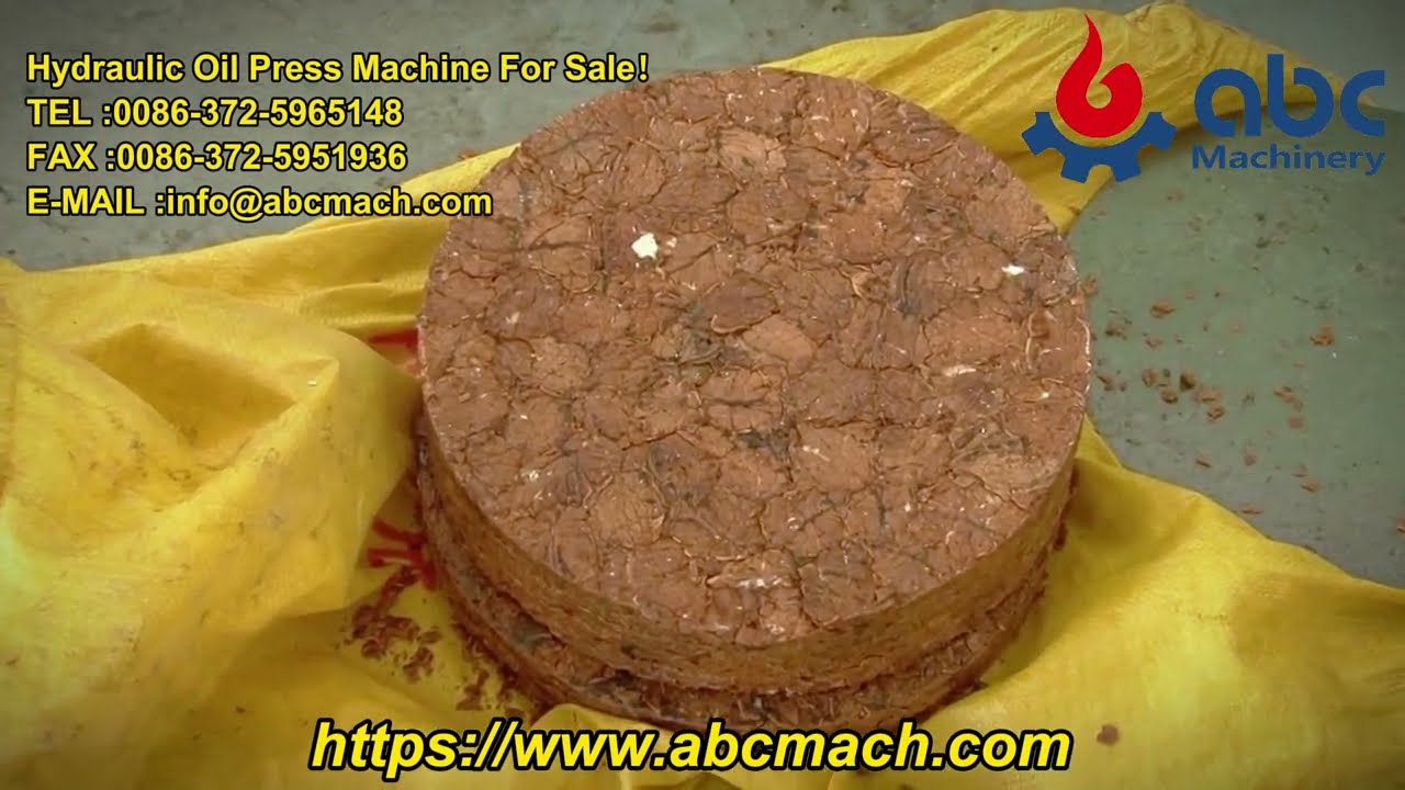 Unlock Pure, High-Quality Oil with Our Hydraulic Oil Press Machine