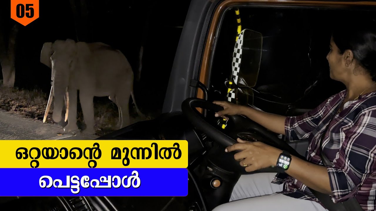 ഒറ്റയാന്റെ മുന്നിൽ പെട്ടപ്പോൾ | Kodagu Trip | EP-05 | Jelaja Ratheesh | Puthettu Travel Vlog |
