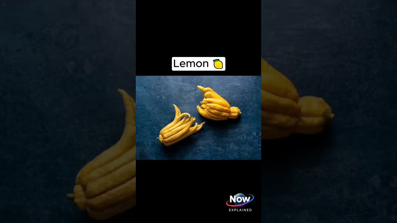 🥕 Food Before Genetic Transformation @NOWEXPLAINED #facts #food #shorts