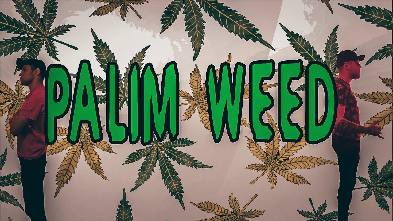 MAJTAS X HOMER X PALIM WEED