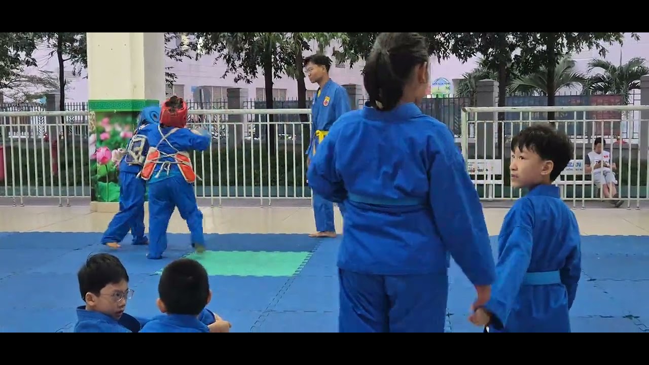 Đối kháng vovinam