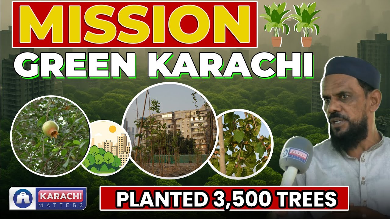 Plant more Trees | Mission Green Karachi #plants #news #garden